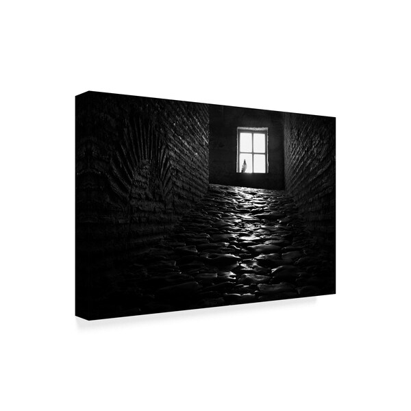 Lou Urlings 'The Window Brick' Canvas Art,30x47